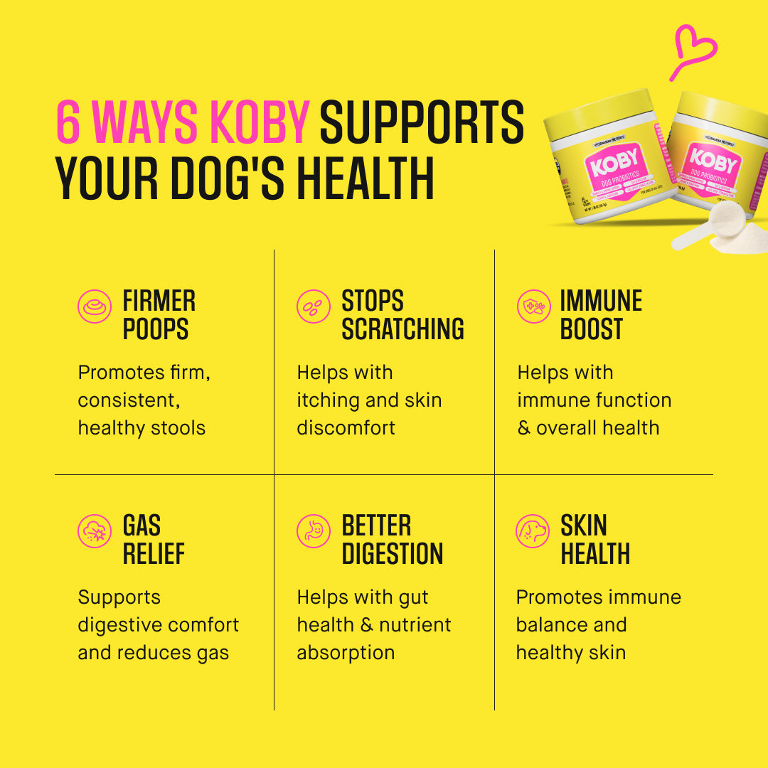 Dog Daily Probiotic
