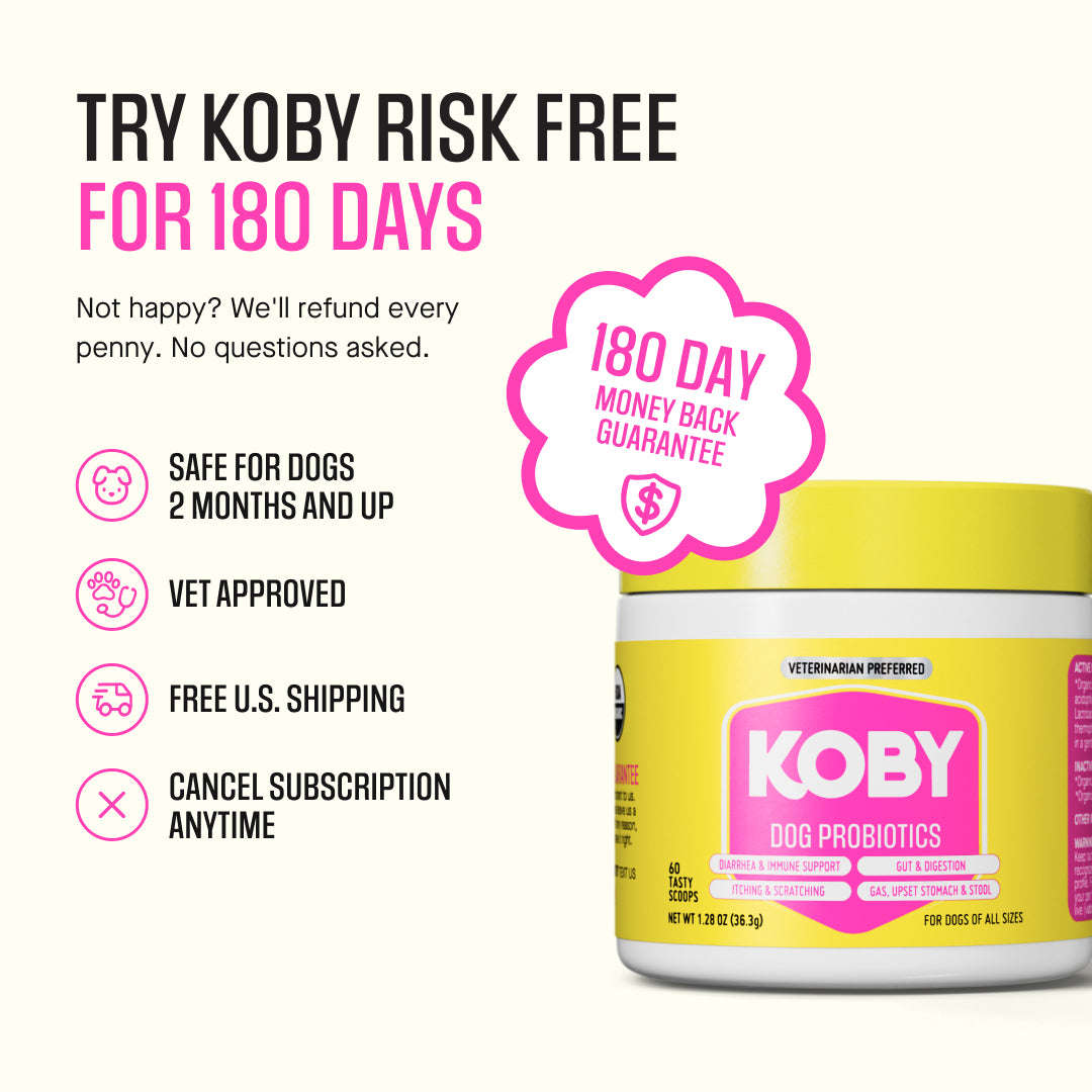 Dog Daily Probiotic