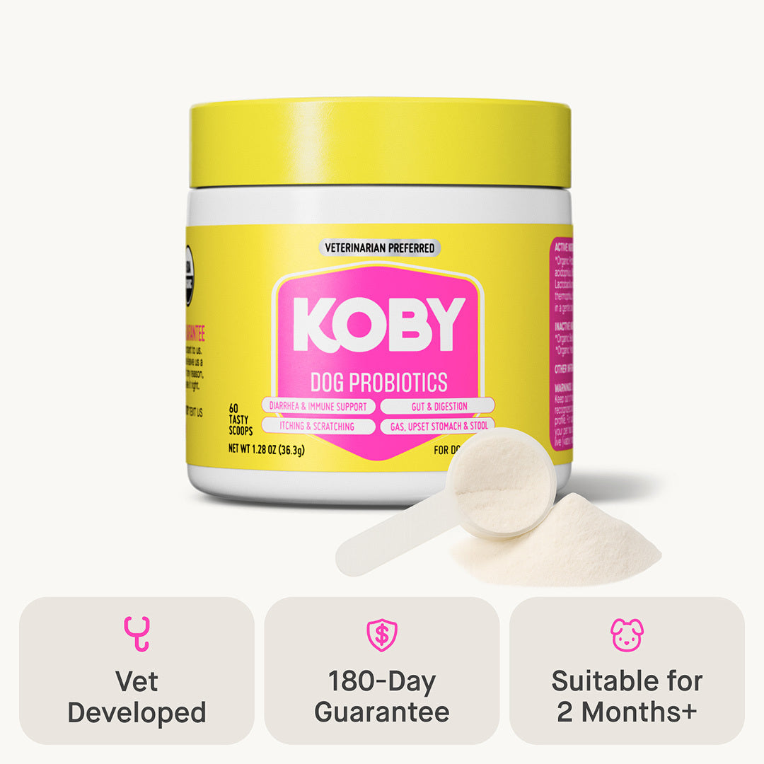 Dog Daily Probiotics
