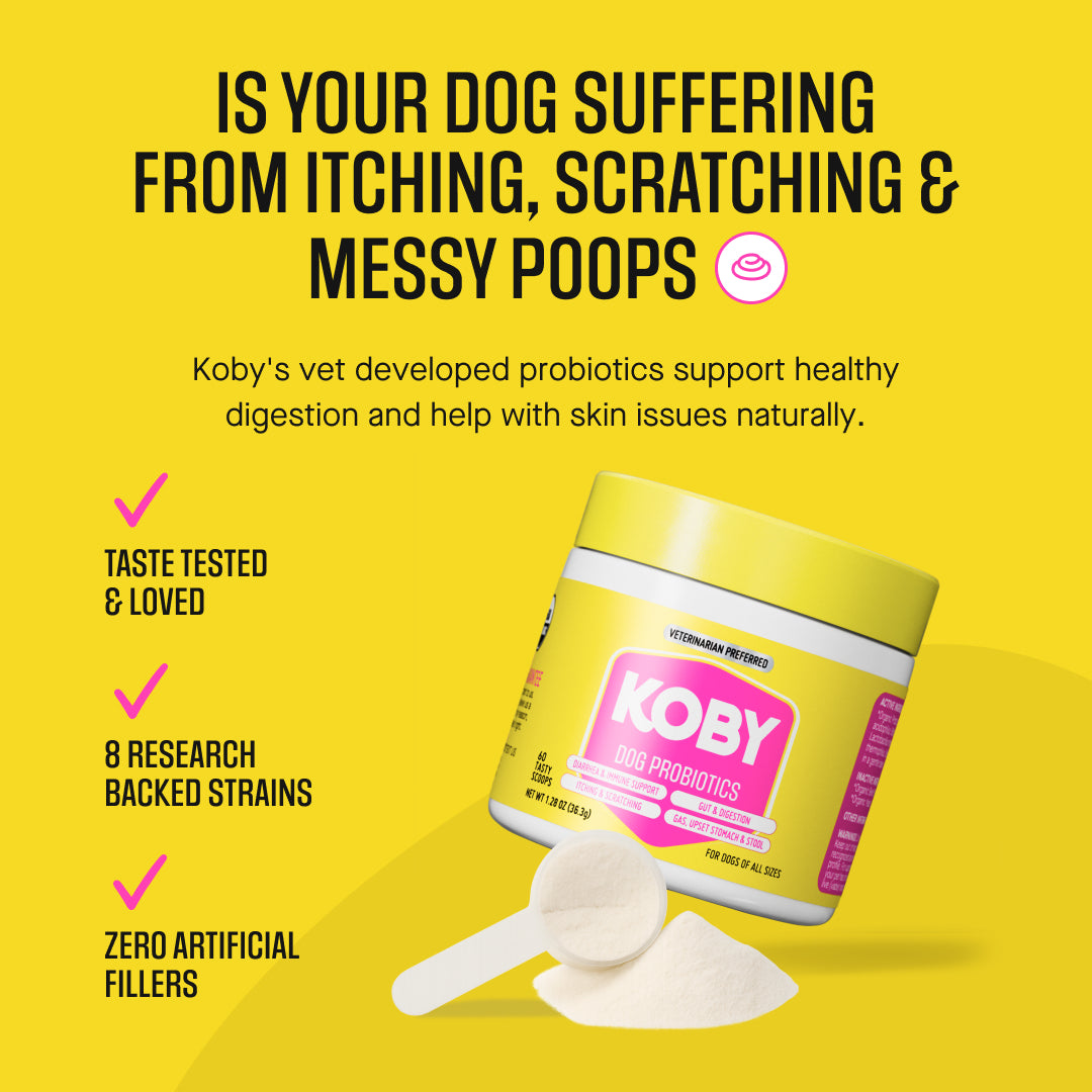 Dog Daily Probiotics