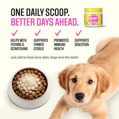 Dog Daily Probiotics