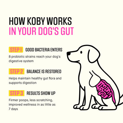 Dog Daily Probiotics