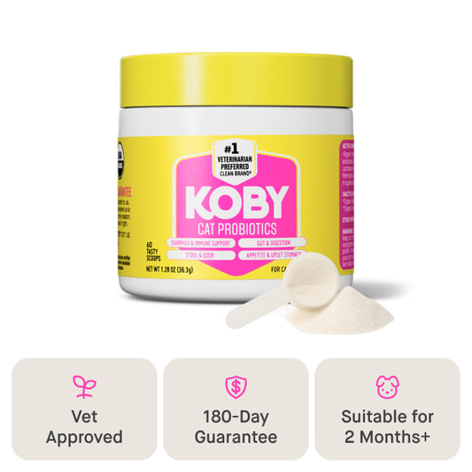 Cat Daily Probiotic