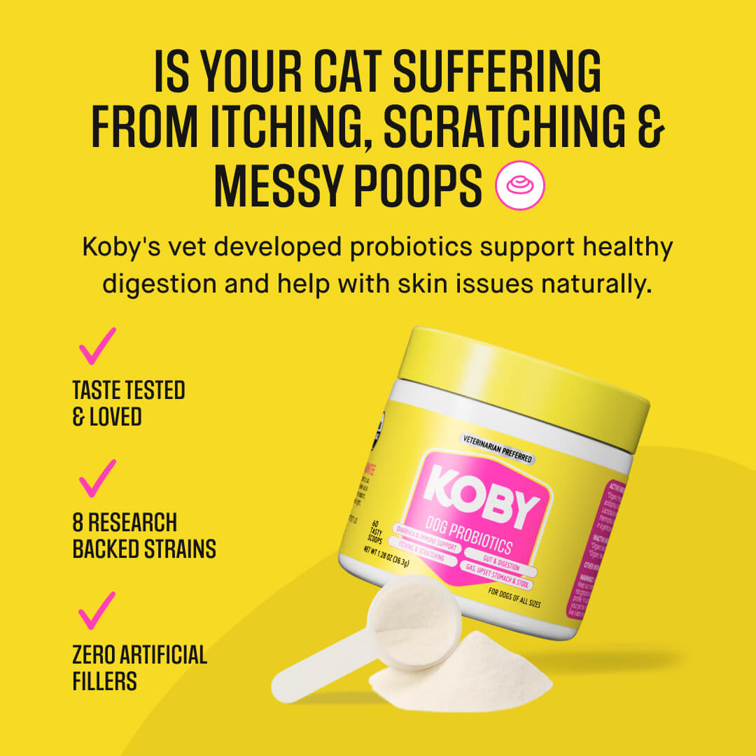 Cat Daily Probiotic