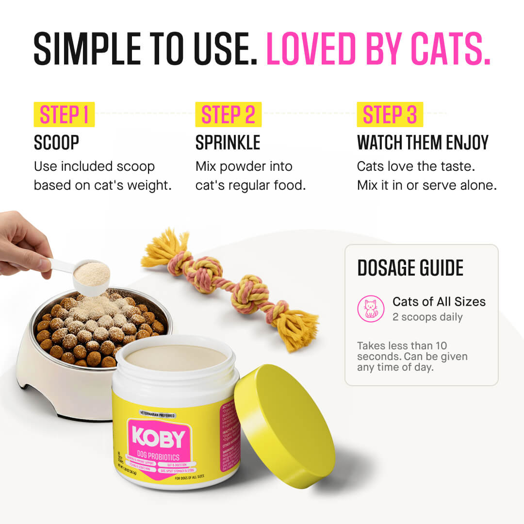 Cat Daily Probiotic