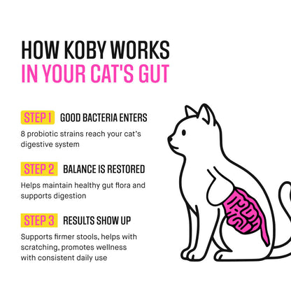 Cat Daily Probiotic