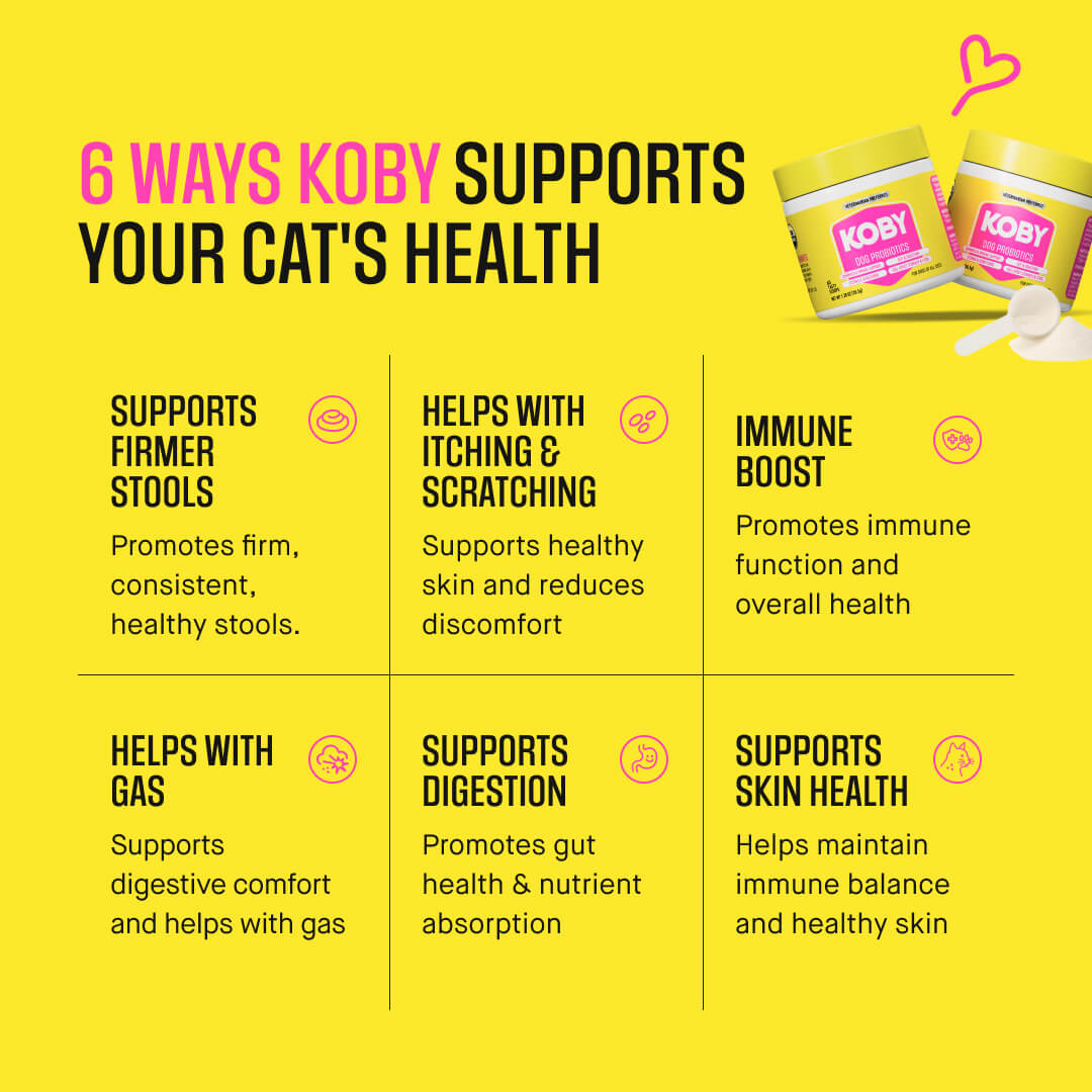 Cat Daily Probiotic