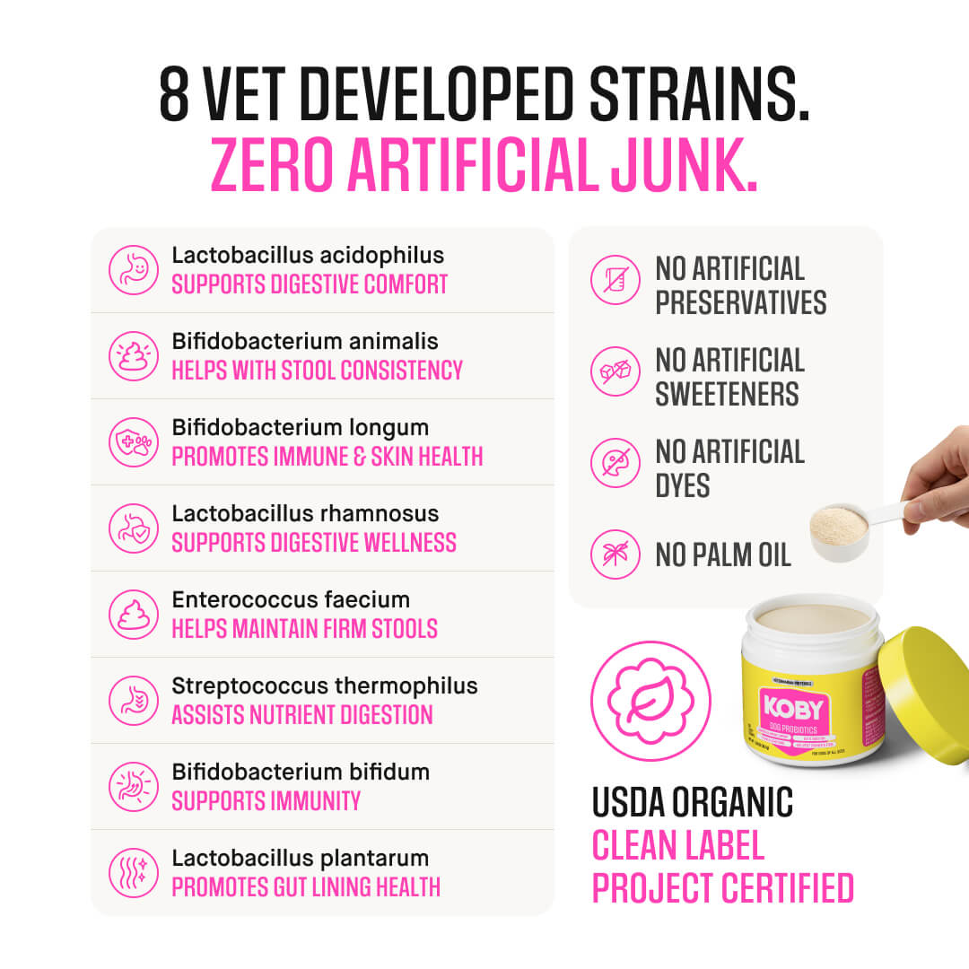 Cat Daily Probiotic