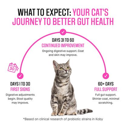 Cat Daily Probiotic