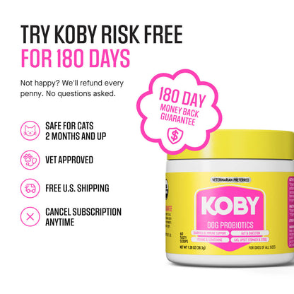 Cat Daily Probiotic
